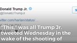 Donald Trump Jr. Makes Simple Statement Against Glorifying Violence