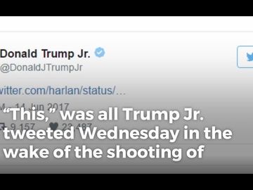 Donald Trump Jr. Makes Simple Statement Against Glorifying Violence