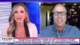 Real News Insights w/ Scott Adams