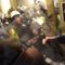 'This Was a Coup': Police Officers Describe Capitol Riot to US Lawmakers