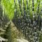 Food prices reach highest level in a decade
