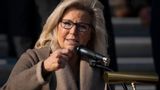 Alan Dershowitz believes Liz Cheney will become a Democrat and run against Trump