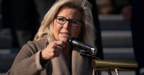 Liz Cheney down 28 points against Trump-backed challenger, even with help from Democrats