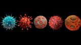 Multiple DNC attendees report testing positive for COVID-19