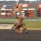 Hilarious T-Rex Race Kicks off in Washington State