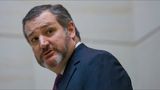 UNCLE JOEY ADMITS TO LOGAN ACT VIOLATIONS AS TED CRUZ REVEALS THE SHADOW POWER BEHIND DEM SHE-SQUAD!