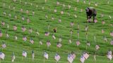 Poll: Memorial Day is one of country's more important holidays