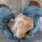 CBP seizes more than 1,000 lbs of meth in New Mexico