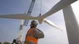 Government research finds bat could be in way of government wind power plans