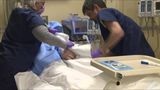 Centralized organ removal may speed transplants