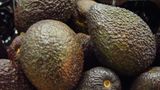 U.S. stops Mexican avocado imports after inspector threatened