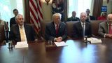 President Trump Leads a Cabinet Meeting