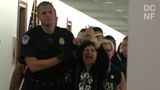 Protesters Arrested In Senate Offices During Kavanaugh Hearings