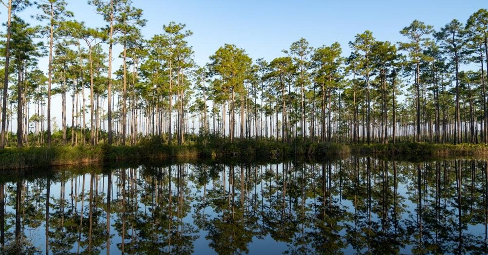 Mining company says Okefenokee expansion doesn't change plans