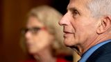 Trust science? Fauci and NIH chief say Biden never consulted them before spiking COVID origin probe
