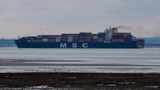 Massive cargo ship gets wedged in Suez Canal, cause cargo ship backup