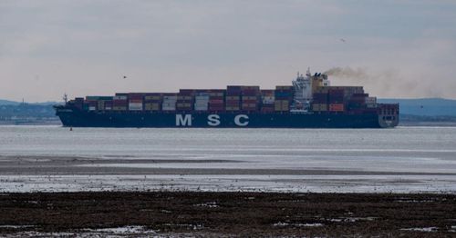 Massive cargo ship gets wedged in Suez Canal, cause cargo ship backup