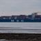 Massive cargo ship gets wedged in Suez Canal, cause cargo ship backup