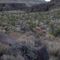 United Nations warns drought could be 'next pandemic'
