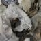 Customs agents discover bird carcasses encased in cement as part of 'belief-based' smuggling effort