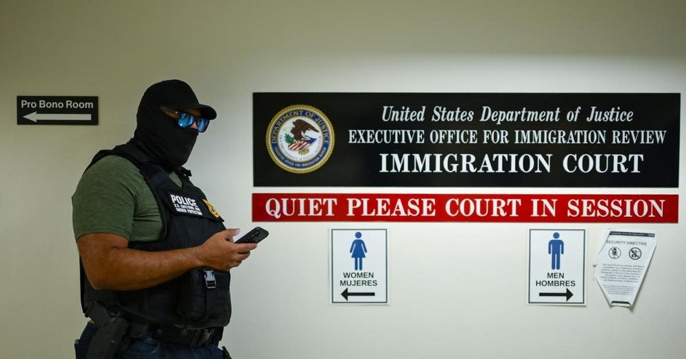 Trump administration finds greater success in immigration cases at appellate level