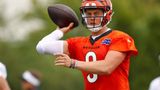 Star Quarterback Joe Burrow was not on 'White Dudes' Zoom call in support of Kamala Harris: Bengals