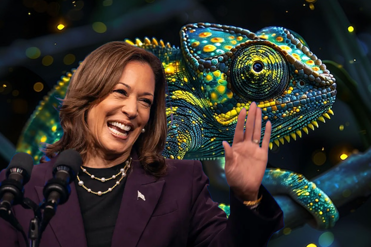 KAMALA THE CHAMELEON HAS NO PRINCIPLES, ONLY AMBITION