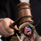 AMERICA’S PERSECUTED POLITICAL PRISONERS