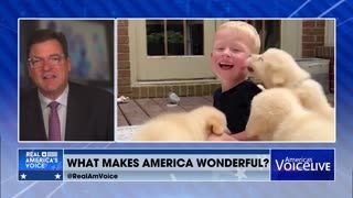 Child Howls With Laughter As Golden Retriever Puppies Smother Him