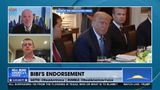 BIBI'S ENDORSEMENT