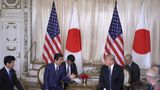 President Donald J. Trump Meets with Japanese Prime Minister Shinzō Abe