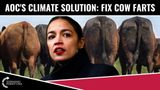 AOC’s Climate Solution: Fix Cow Farts!