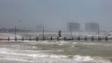 Hurricane Milton makes landfall on Florida's west coast as major storm