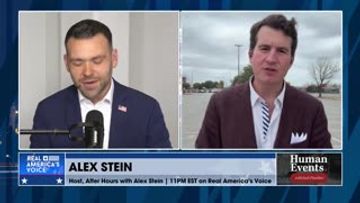 ALEX STEIN TROLLS THE EPSTEIN FILES—ON PURPOSE