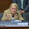 Democrats FREAK OUT At Twitter Files Hearing