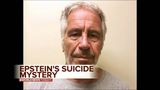 Jeffrey Epstein’s  apparent suicide