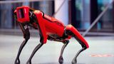 U.S. closer to deploying 'robot dog' machines to help government with southern border