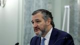 Cruz floats promoting acting FAA chief amid Biden nomination row