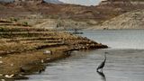 Colorado river basin lawmakers team up to address western water shortage