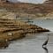 Colorado river basin lawmakers team up to address western water shortage