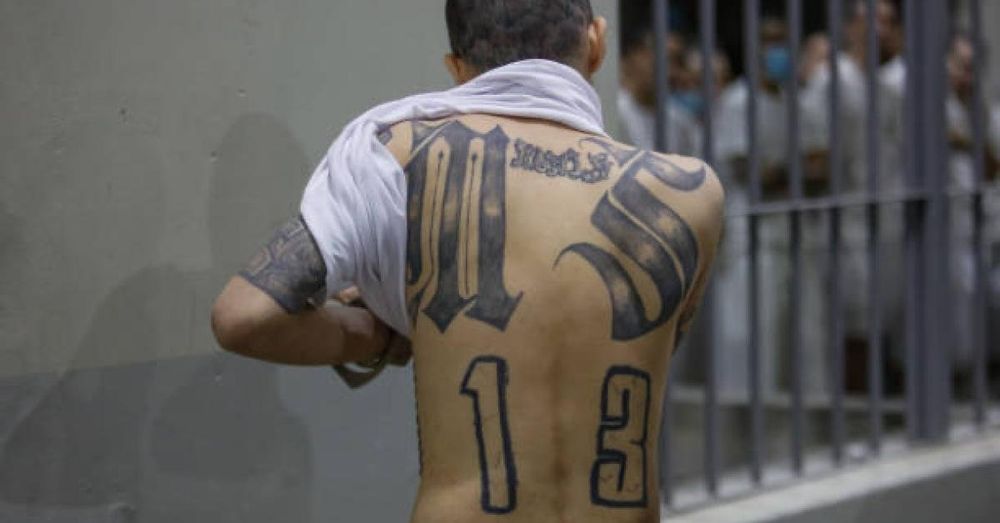 High-ranking fugitive MS-13 gang member arrested on terrorism-related charges