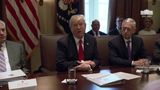 President Trump Holds a Cabinet Meeting