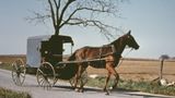 Curiosity of Amish voting impact continues