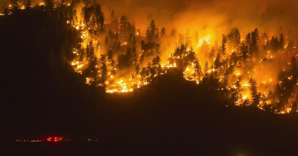 Emissions from Canada wildfires exceeded most countries last year, study finds