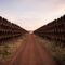 Fourteen state AGs slam President Biden's move on Keystone XL pipeline, call for him to reconsider
