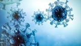 Expert panel backs restrictions on risky virus research