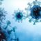 Expert panel backs restrictions on risky virus research
