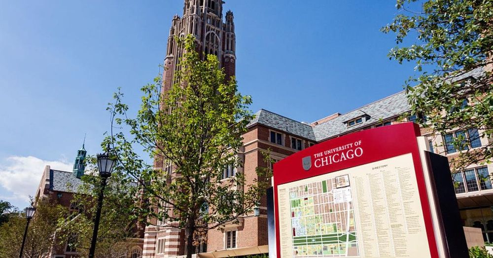 U of Chicago professor, Palestinian activist, charged with felonies after arrest at anti-ICE protest