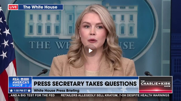 REFUGEES ABUSING THE SYSTEM