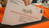 Non-citizen allegedly cast ballot in Michigan, faces criminal charges